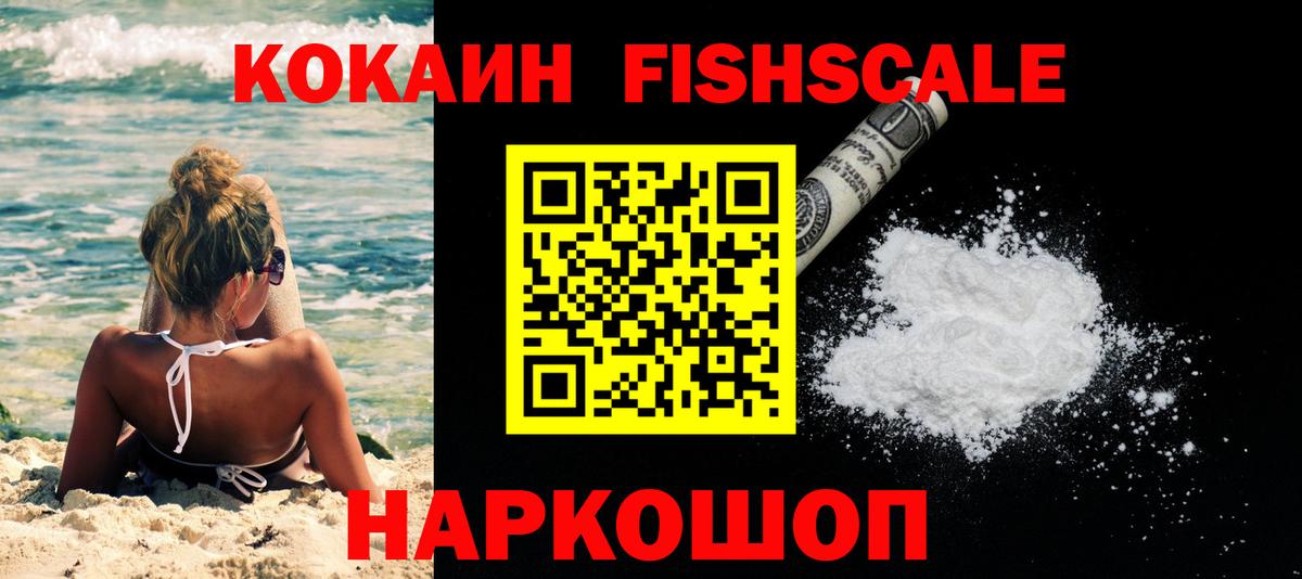 где купить наркотик  Вход с VPN  Сунжа  Кокаин FishScale  COCAIN Эквадор 