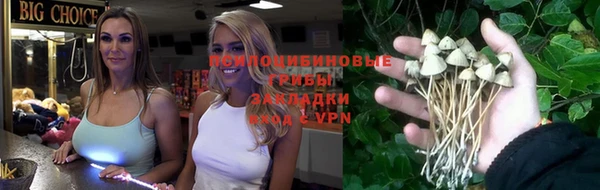 СК Алексин