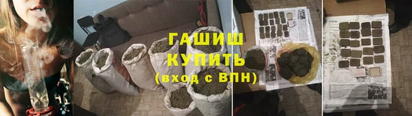 СК Алексин