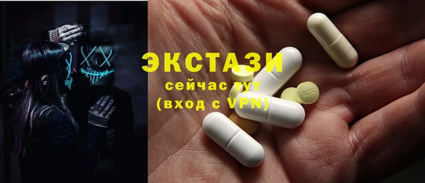СК Алексин