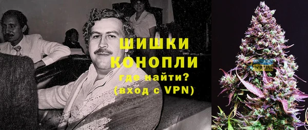 СК Алексин