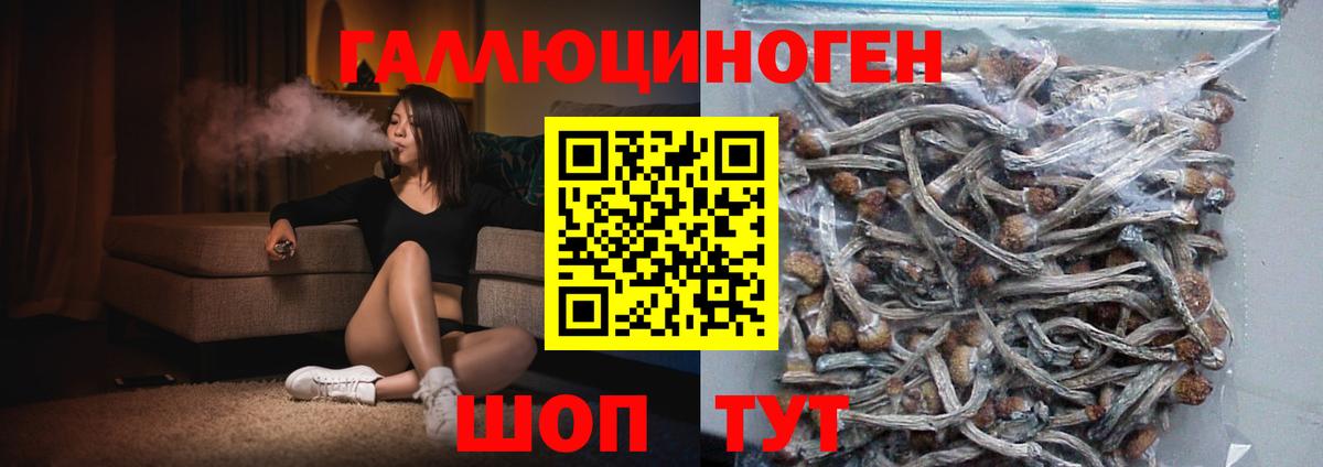 Псилоцибиновые грибы Magic Shrooms  Псилоцибиновые грибы прущие грибы  Вход с VPN  Сунжа 