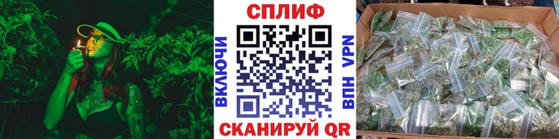 Канабис Ganja Сунжа