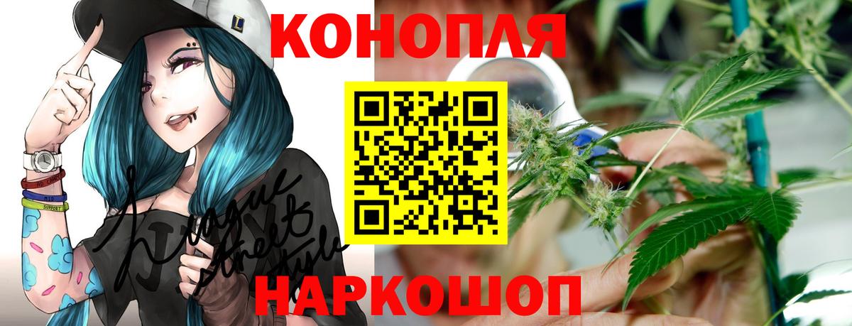 Конопля OG Kush Сунжа